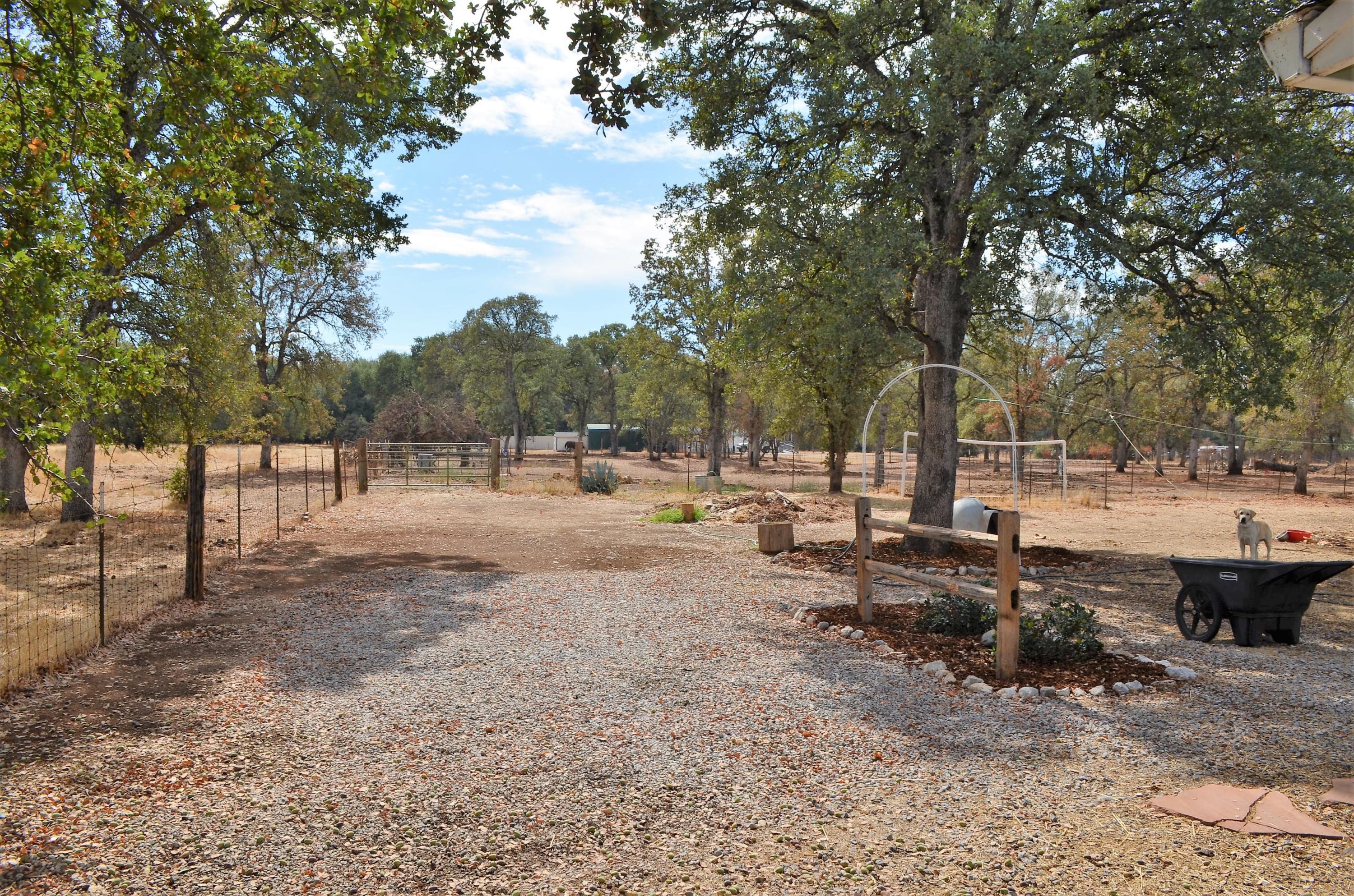 19557 Gas Point Road Cottonwood, CA 96022 - Photo 2 of 11 DSC_0351 (2)