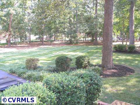 5321 Copperpenny Road Chesterfield, VA 23832 - Photo 10 of 10 a view of yard with green space