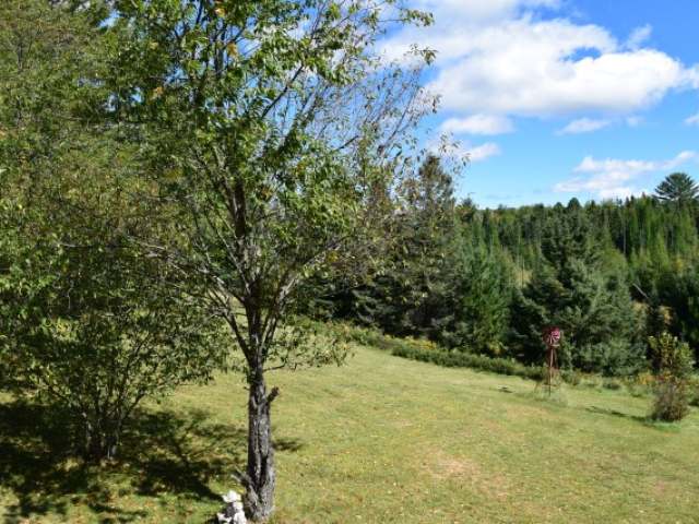 5664 Balsam Ridge Drive Rhinelander, WI 54501 - Photo 5 of 5 Gallery Image 5