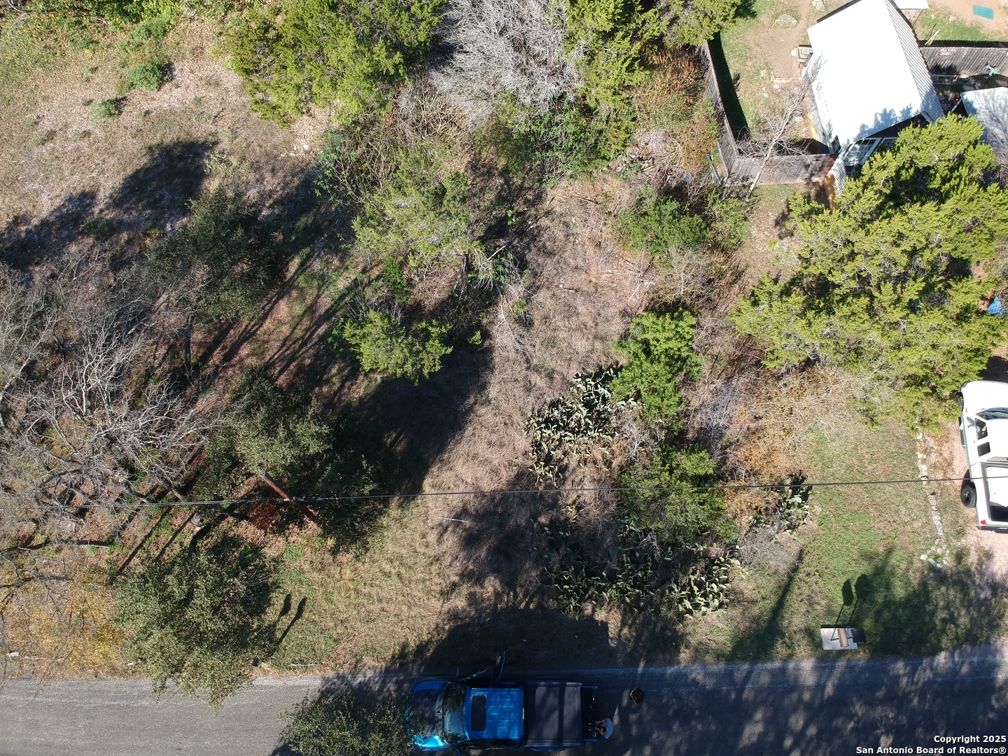 10906 3rd Street Jonestown, TX 78645 - Photo 4 of 9 a picture of trees