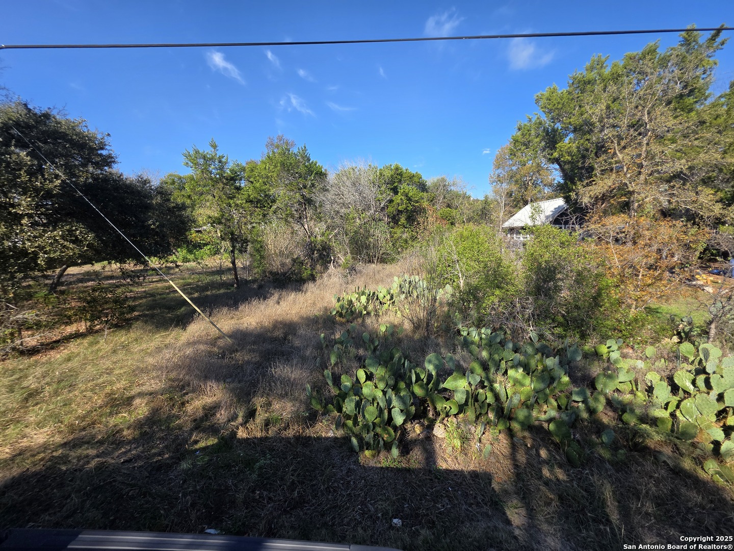 10906 3rd Street Jonestown, TX 78645 - Photo 8 of 9 a view of a yard