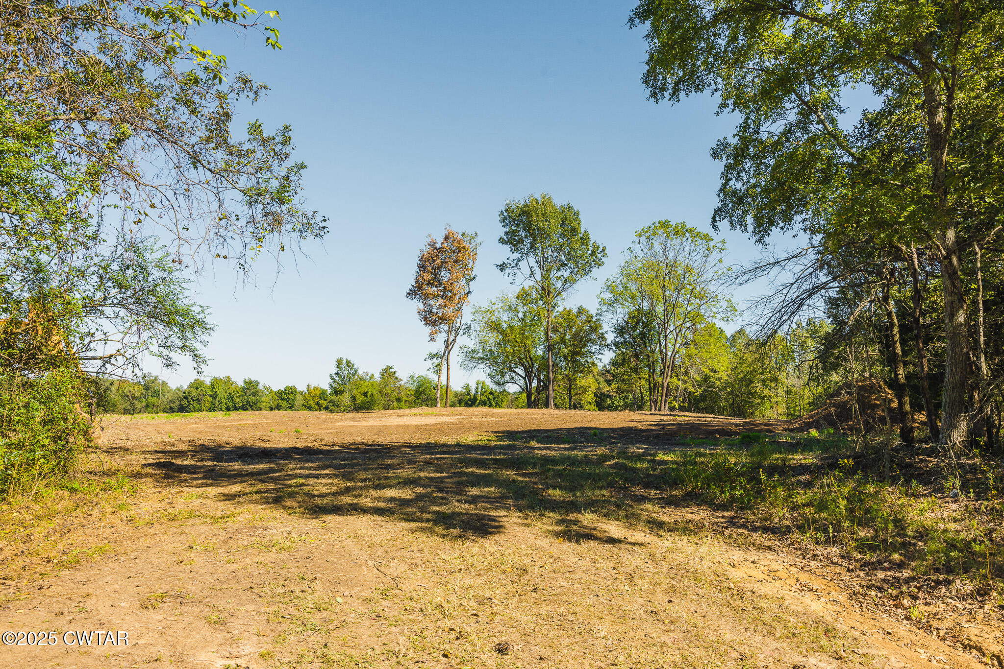 4 Hearn Road Greenfield, TN 38230 - Photo 4 of 9 FT8A9852