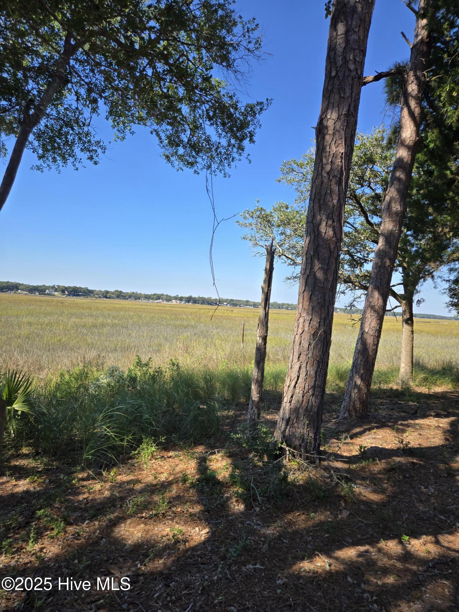 3810 Windy Point Road Southwest Supply, NC 28462 - Photo 9 of 28 View of the Marsh Right