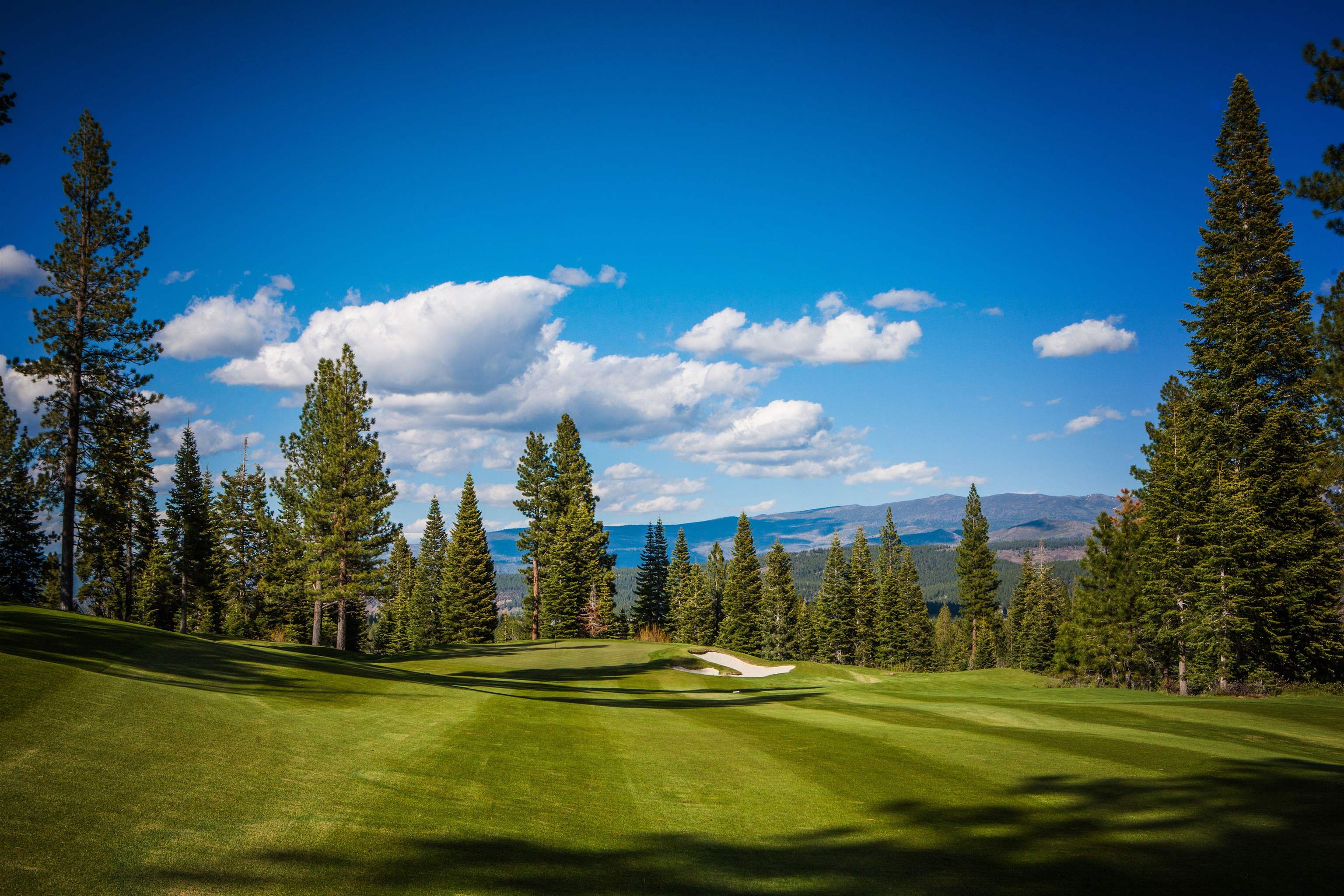 10243 Valmont Trail Truckee, CA 96161 - Photo 24 of 28 a view of a swimming pool with a yard