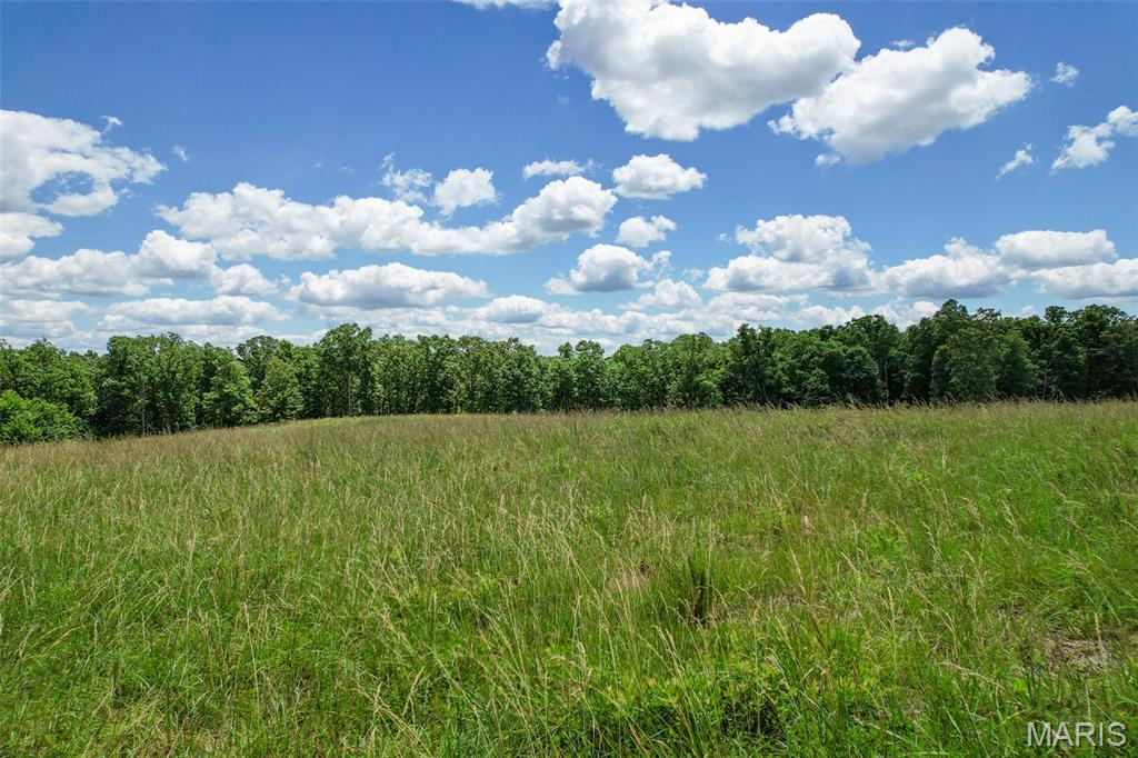 10450 Ok Road Bonne Terre, MO 63628 - Photo 42 of 93