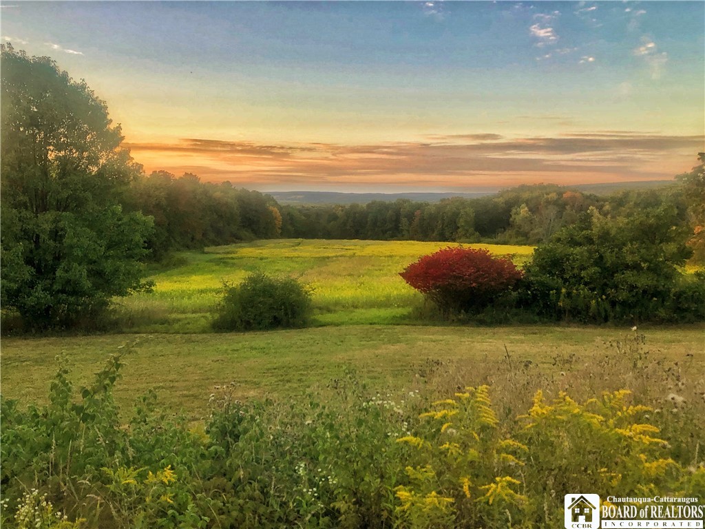 1004 Wigren Road Carroll, NY 14738 - Photo 1 of 10