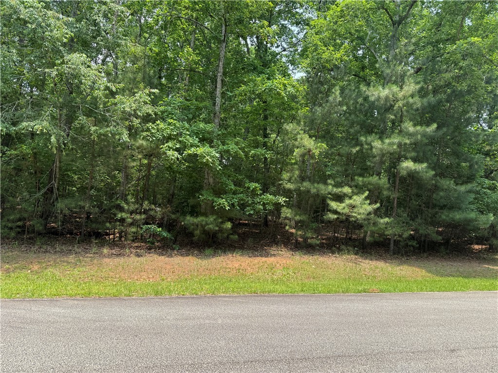 145 Waterside Drive Iva, SC 29655 - Photo 1 of 13