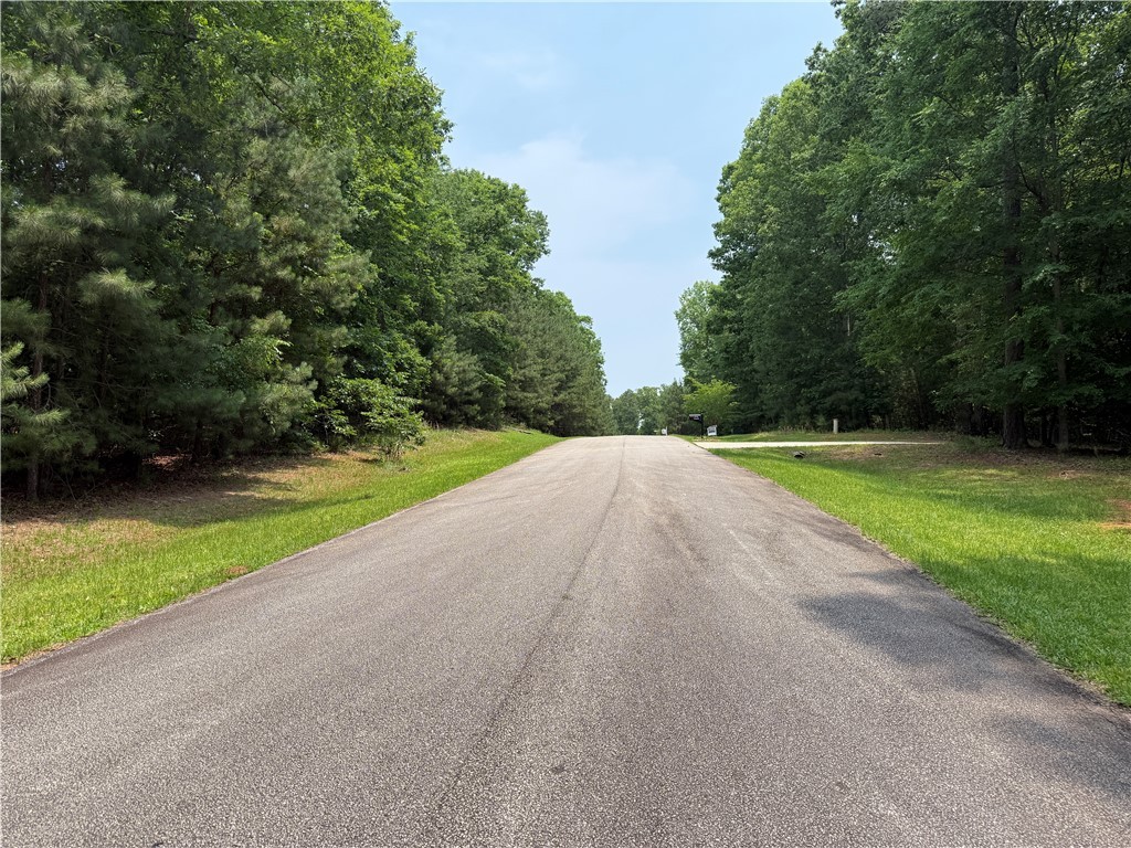 145 Waterside Drive Iva, SC 29655 - Photo 4 of 13