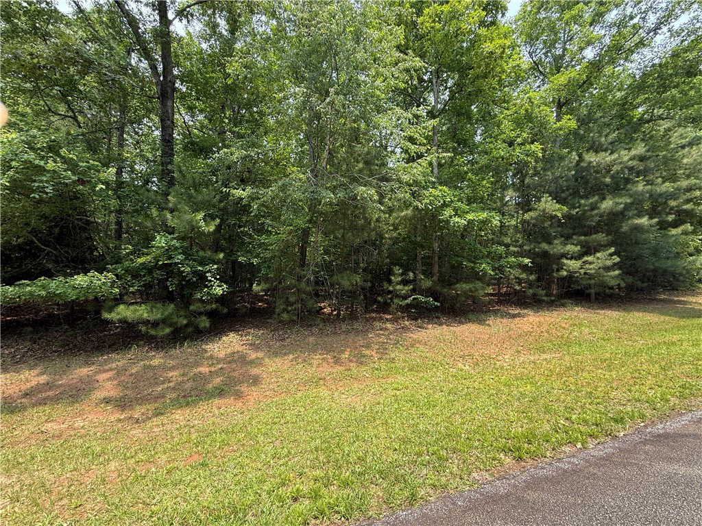 145 Waterside Drive Iva, SC 29655 - Photo 5 of 13