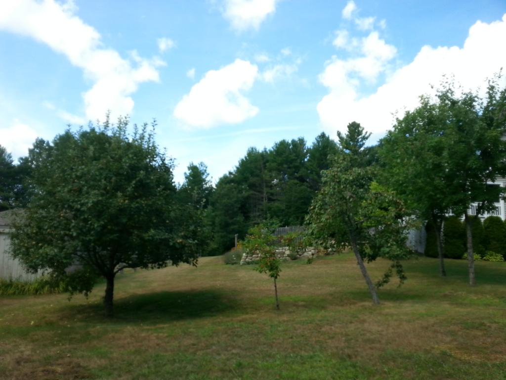 84 New Rye Road Allenstown, NH 03275 - Photo 31 of 36