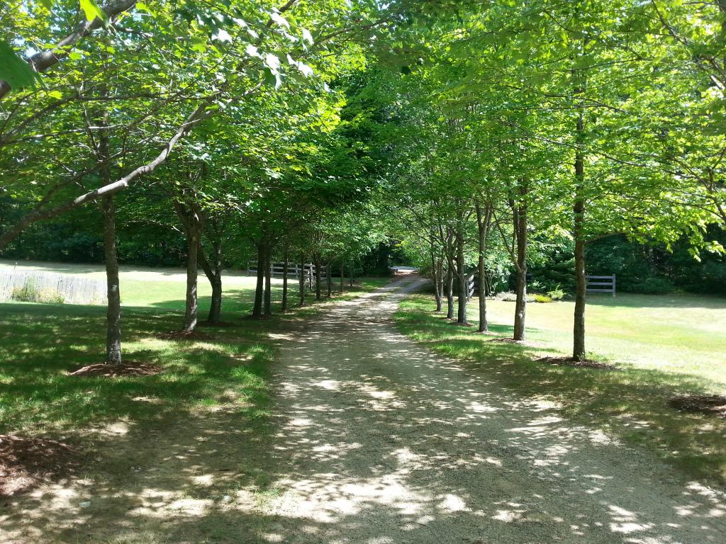 84 New Rye Road Allenstown, NH 03275 - Photo 35 of 36