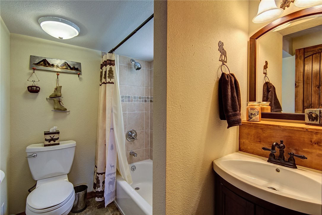 161 Riley Road Silverthorne, CO 80498 - Photo 24 of 35 Gallery Image 24