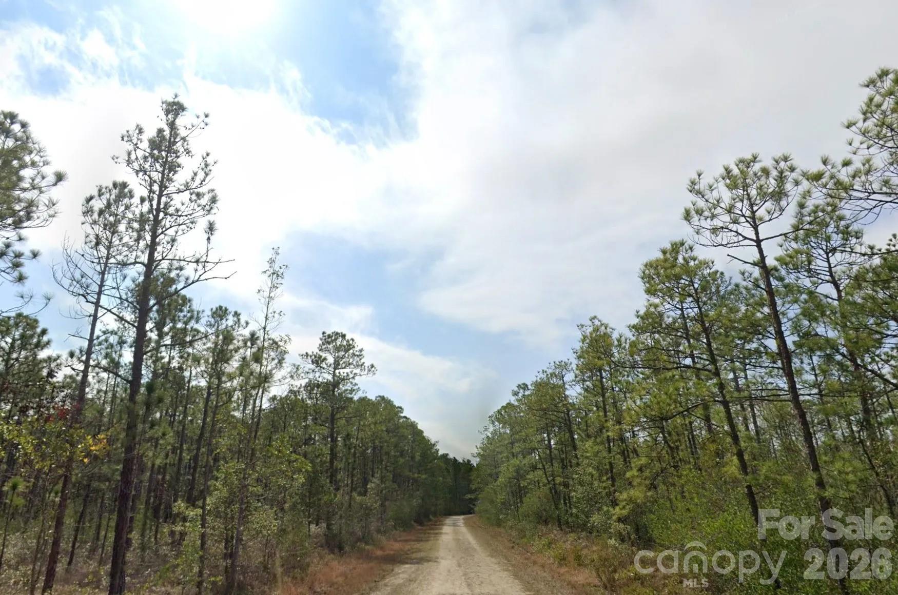 931 Mallard Road Southport, NC 28461 - Photo 6 of 6