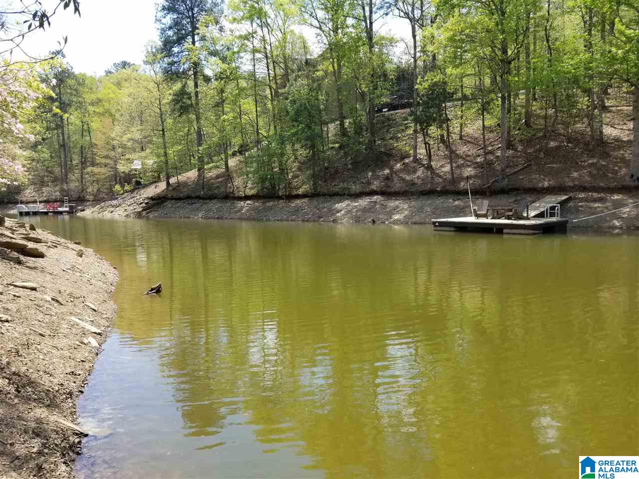 Lot 106 River Birch Road, Unit LOT 106 Wedowee, AL 36278 - Photo 2 of 14