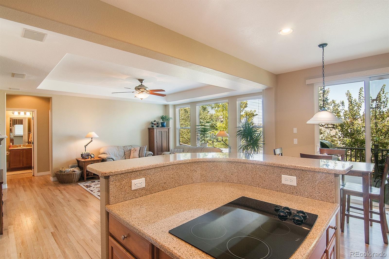 4881 Bluegate Lane Highlands Ranch, CO 80130 - Photo 11 of 35 Gallery Image 11