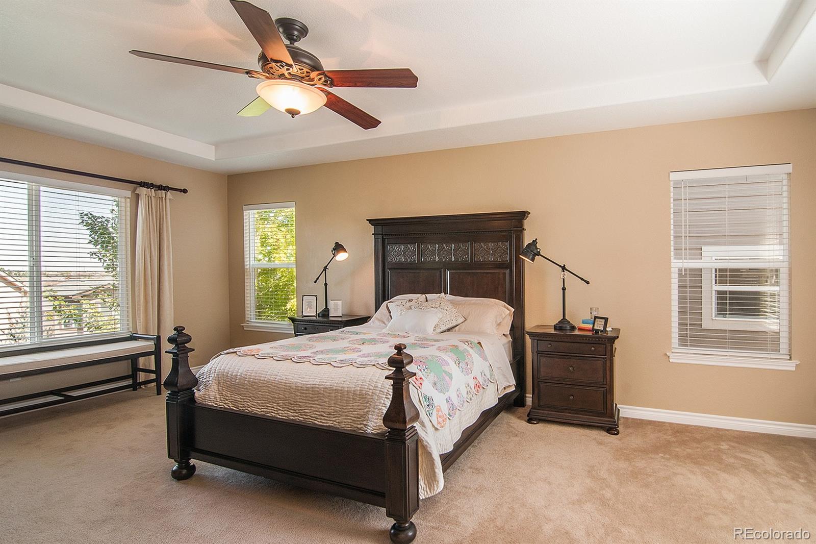 4881 Bluegate Lane Highlands Ranch, CO 80130 - Photo 18 of 35 Gallery Image 18