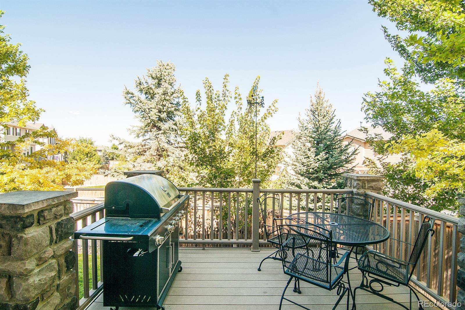 4881 Bluegate Lane Highlands Ranch, CO 80130 - Photo 29 of 35 Gallery Image 29
