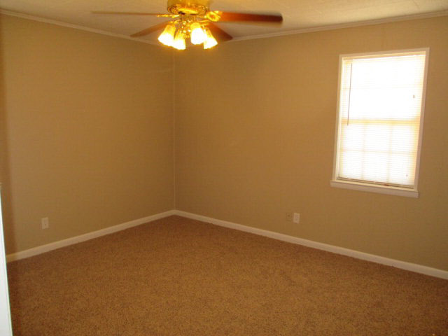 5724 Bear Point Avenue Orange Beach, AL 36561 - Photo 8 of 17 master bedroom
