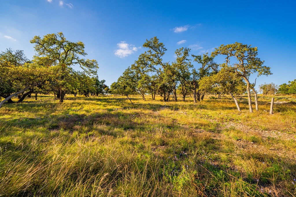 Lot 42 Reservation Road, Unit 42 Harper, TX 78631 - Photo 2 of 6 Gallery Image 2