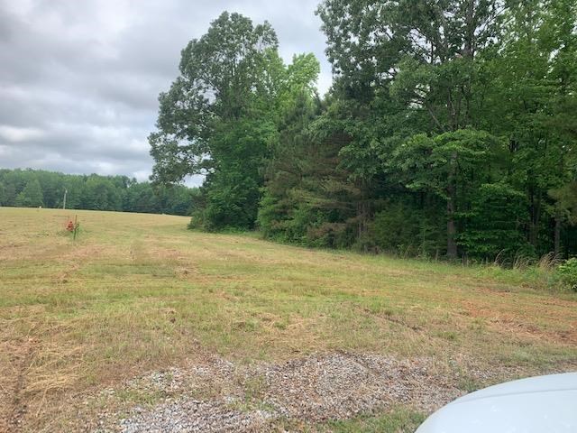 0 Arrowhead Trail Adamsville, TN 38310 - Photo 1 of 4