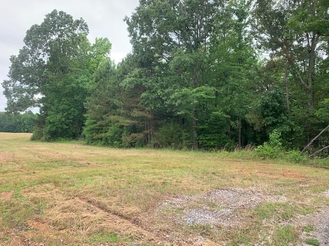 0 Arrowhead Trail Adamsville, TN 38310 - Photo 3 of 4