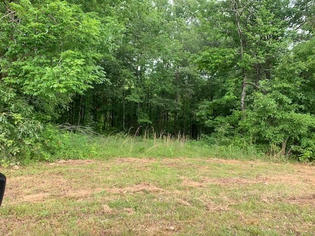 0 Arrowhead Trail Adamsville, TN 38310 - Photo 4 of 4