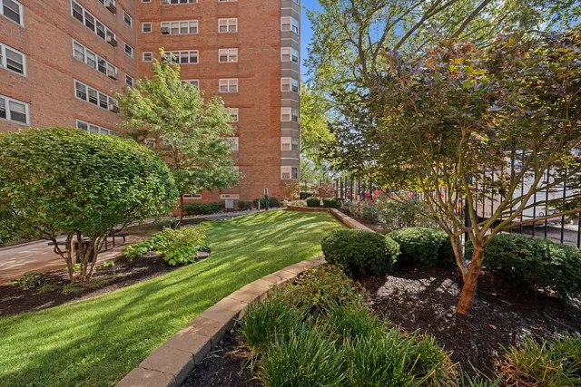 a view of a park with plants and trees