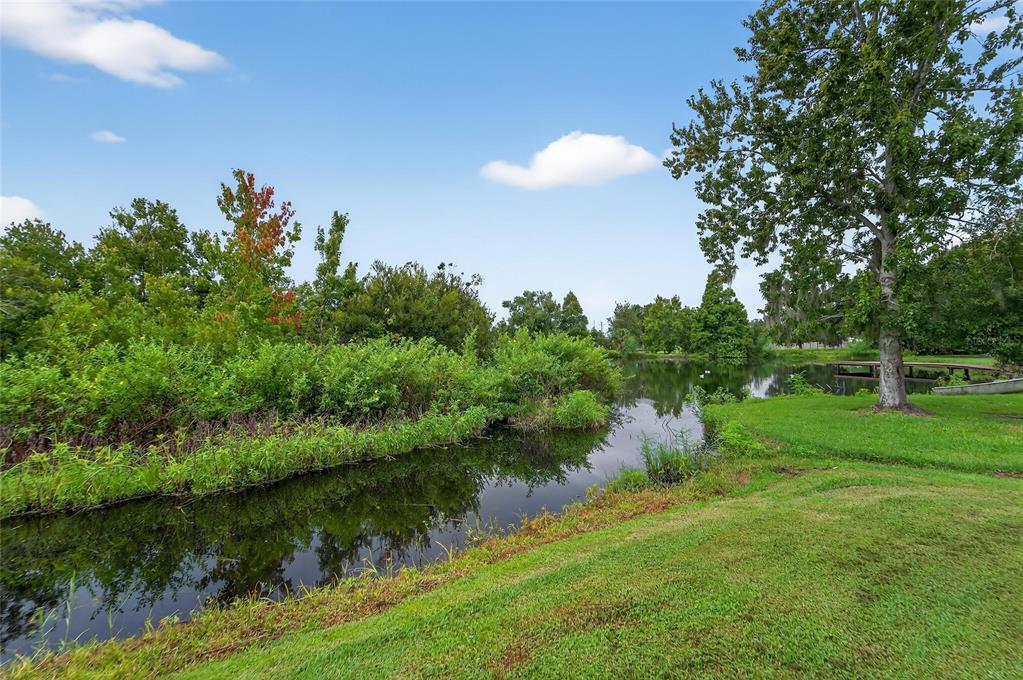 12008 Rose Lane Riverview, FL 33569 - Photo 14 of 41