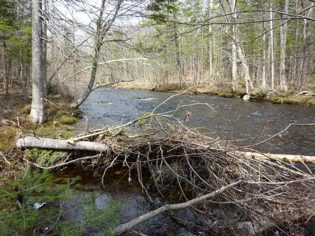 $160,000 | 17 Kingsbury Road, Wellington, ME 04942