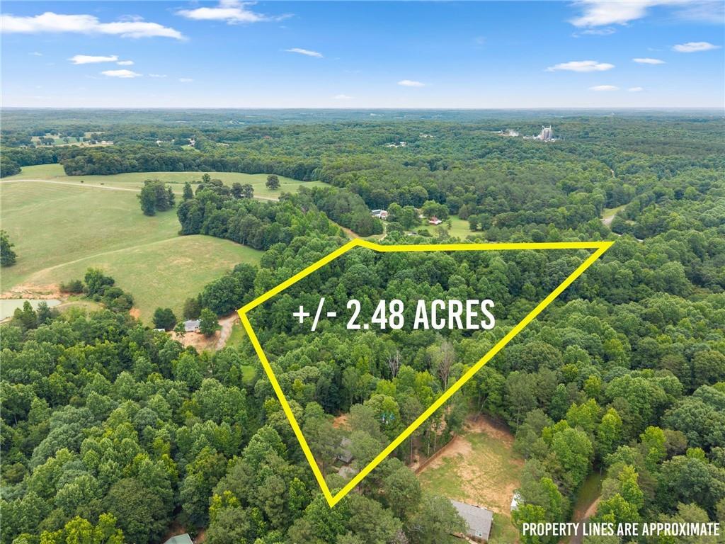 260 Falcon Lane Carnesville, GA 30521 - Photo 39 of 40