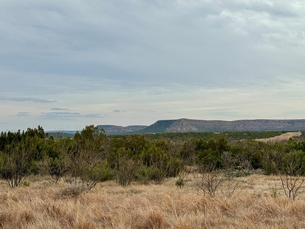 537 Lone Mills Road Robert Lee, TX 76945 - Photo 1 of 24 Main View