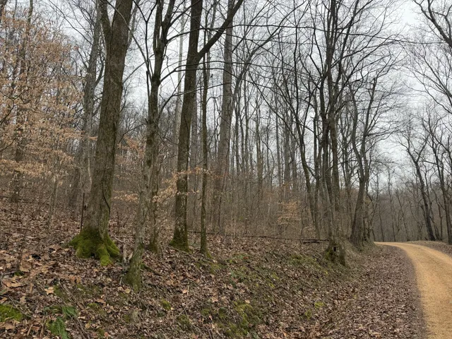 $49,950 | 0 Old Kettle Mills Road, Hampshire, TN 38461