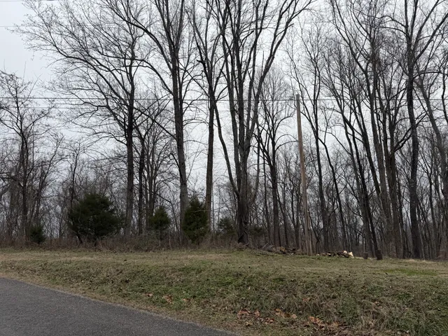 $49,950 | 0 Old Kettle Mills Road, Hampshire, TN 38461