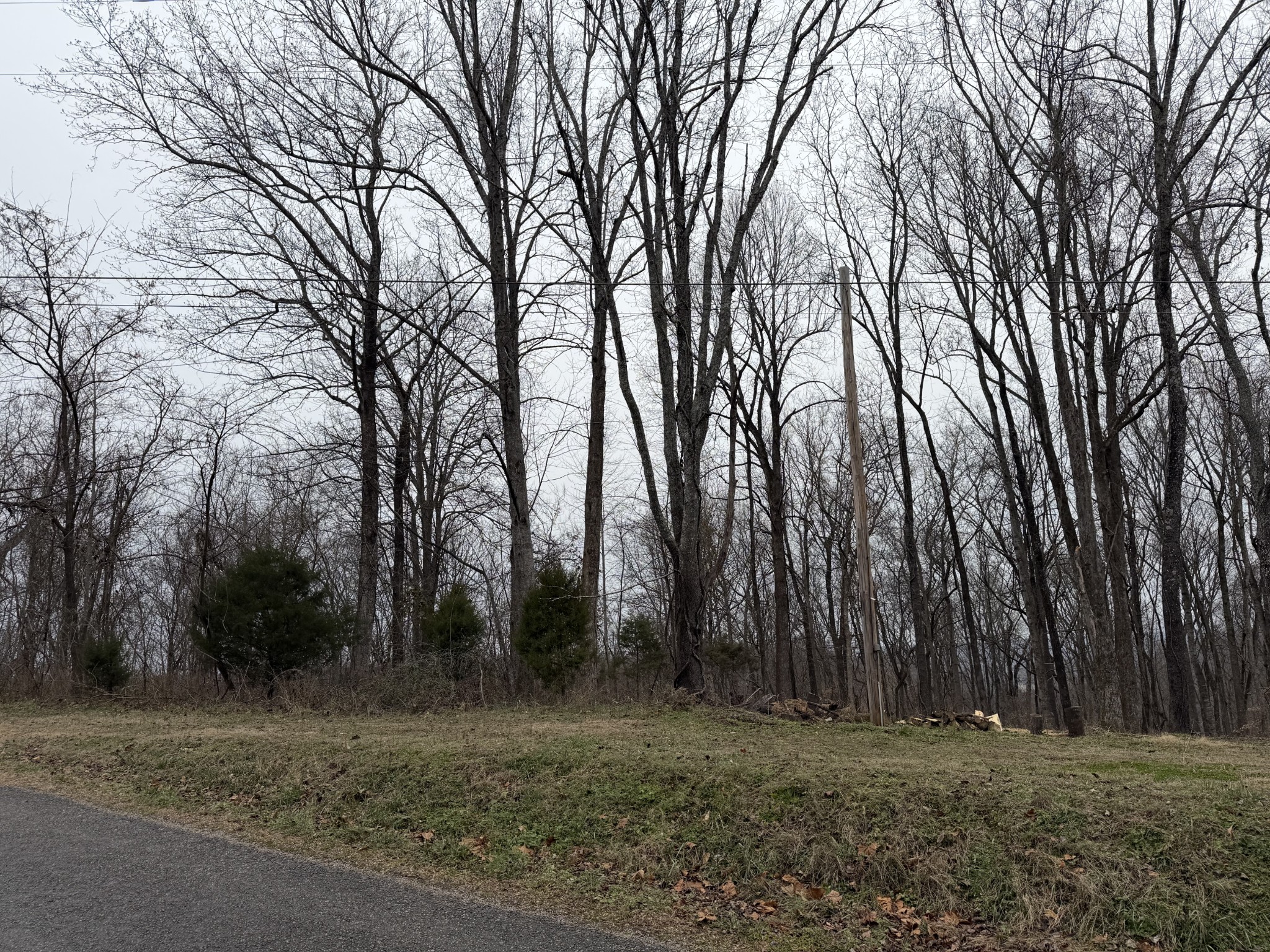 0 Old Kettle Mills Road Hampshire, TN 38461 - Photo 5 of 16 a view of a field with trees in the background