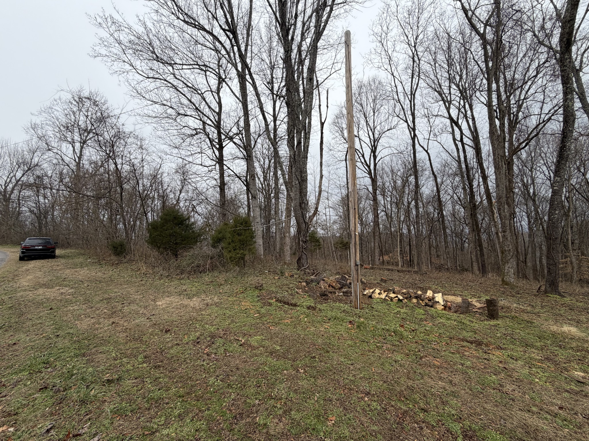 0 Old Kettle Mills Road Hampshire, TN 38461 - Photo 6 of 16 a view of outdoor space with trees