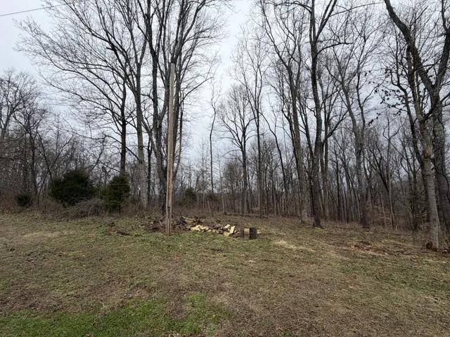 $49,950 | 0 Old Kettle Mills Road, Hampshire, TN 38461