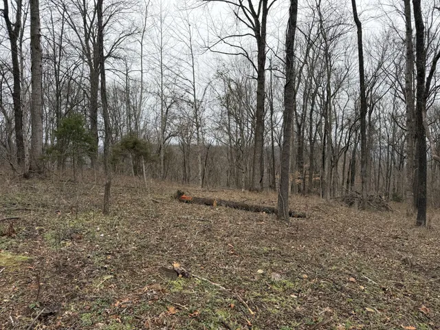 $49,950 | 0 Old Kettle Mills Road, Hampshire, TN 38461