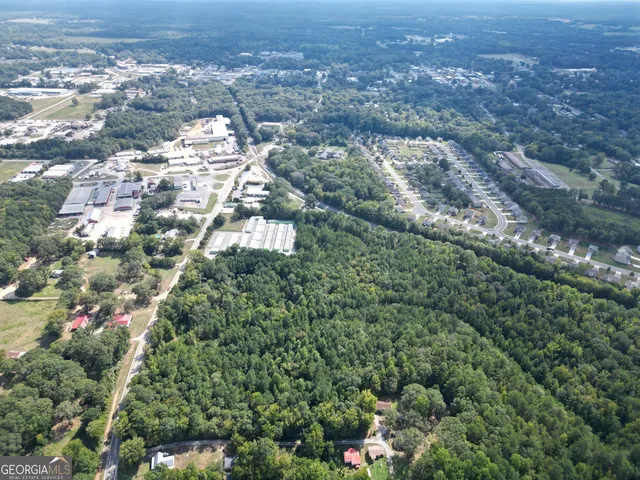 a view of a bunch of flowers in a yard