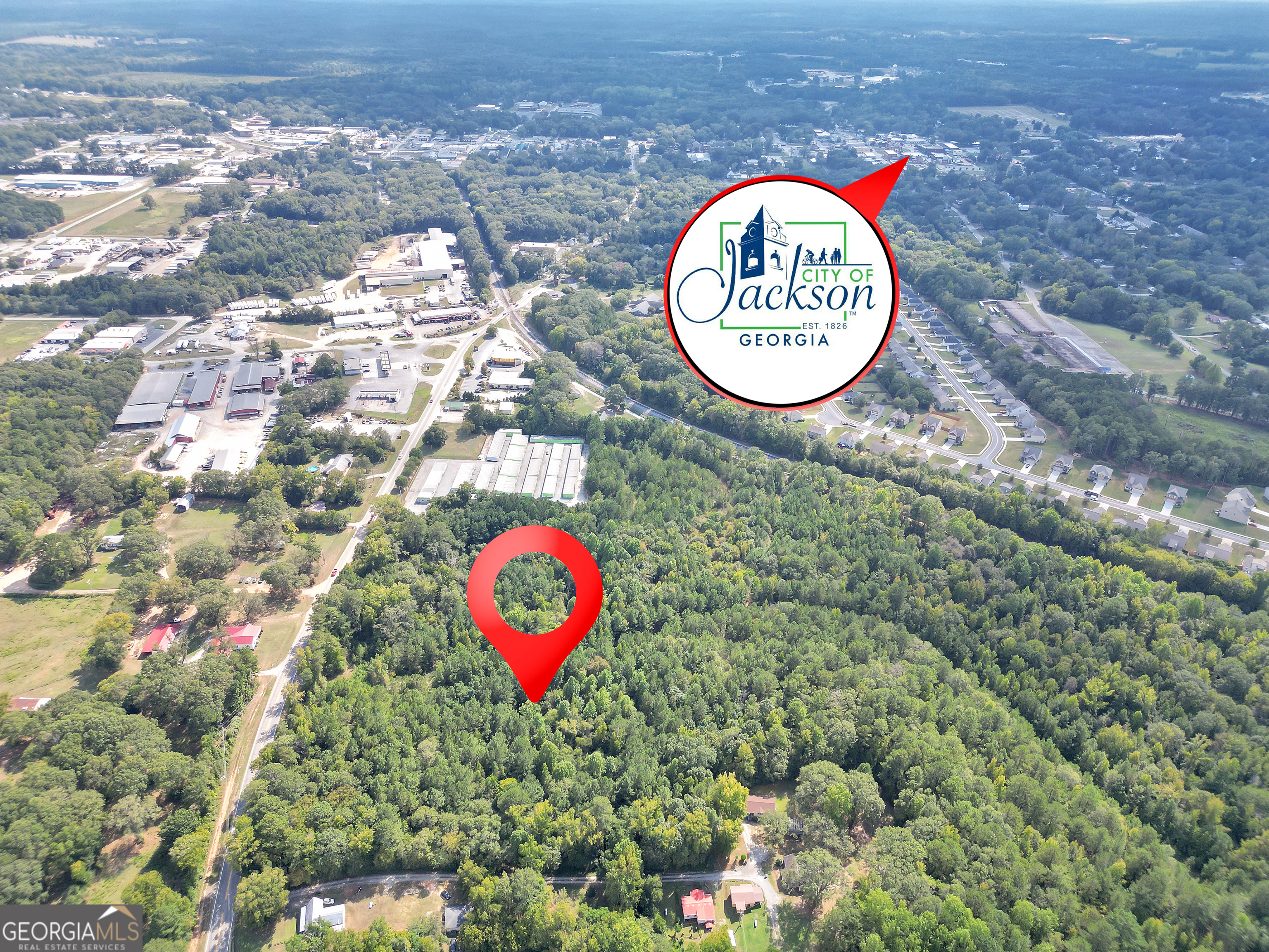 0 Hwy 36 East Jackson, GA 30233 - Photo 4 of 8 a view of a bunch of flowers in a yard