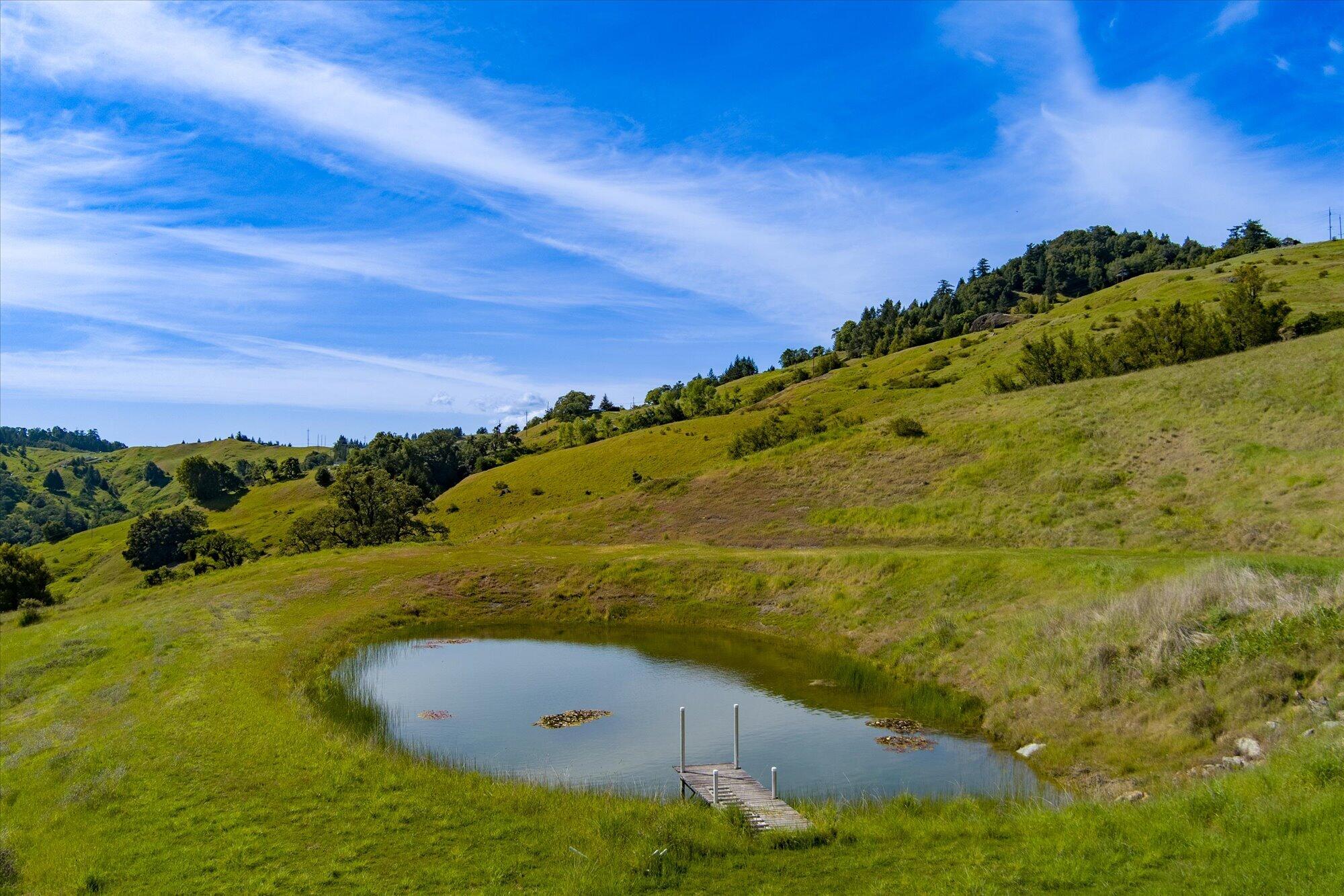 2980 Flat Rock Road Garberville, CA 95542 - Photo 23 of 62