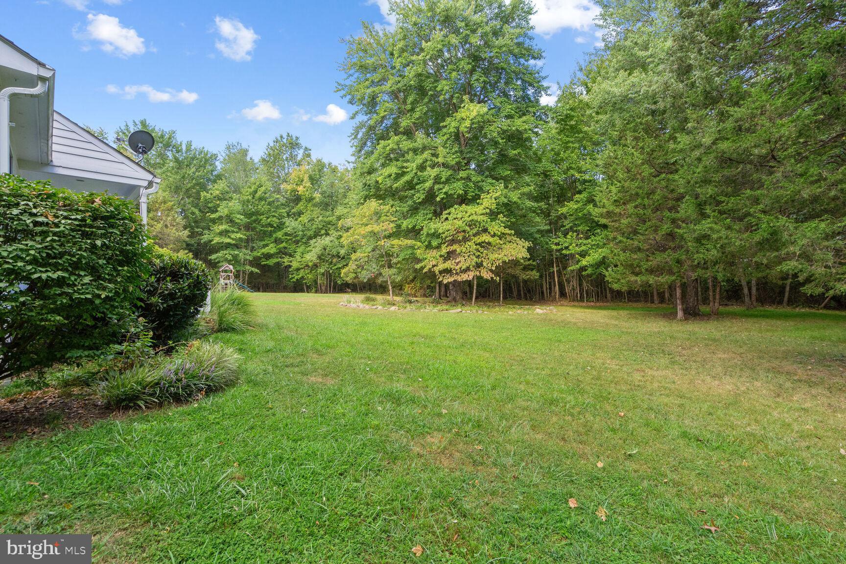 3309 Rectortown Road Marshall, VA 20115 - Photo 17 of 23