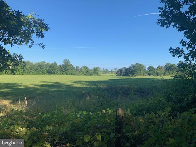 3309 Rectortown Road Marshall, VA 20115 - Photo 2 of 23 Easterly view over neighbor's fields