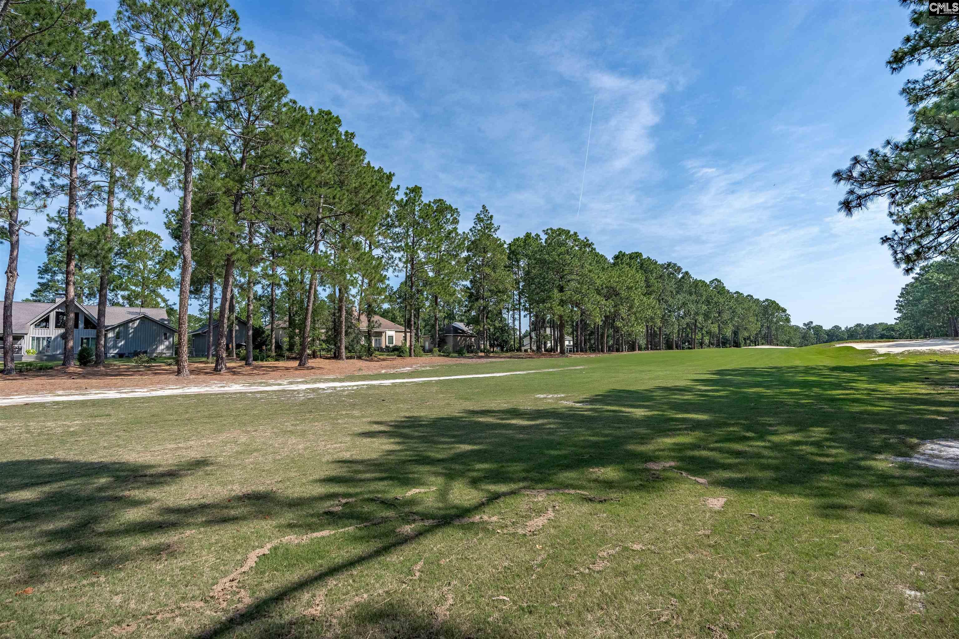 208 Mallet Hill Road Columbia, SC 29223 - Photo 32 of 34