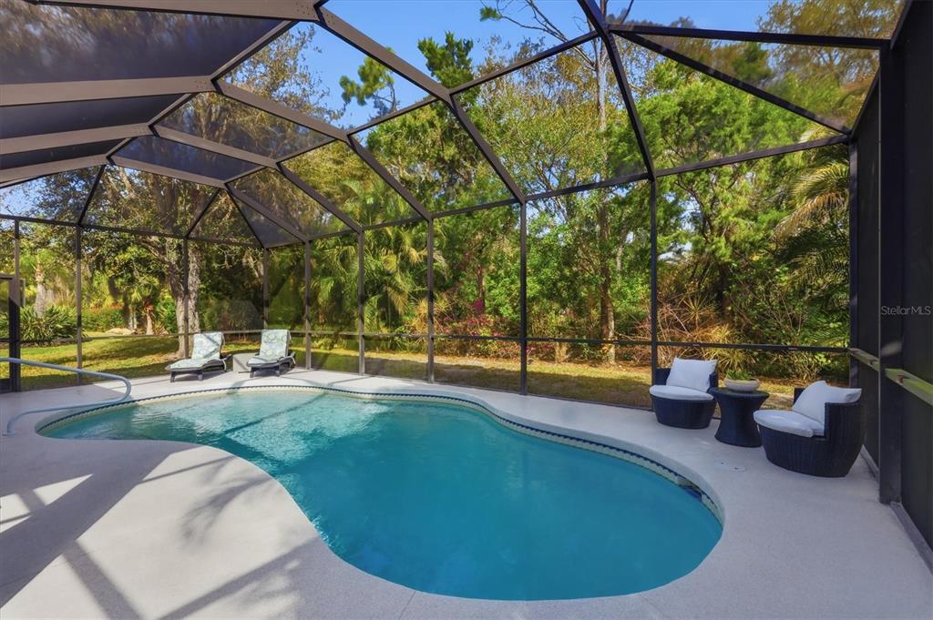 745 Fordingbridge Way Osprey, FL 34229 - Photo 34 of 53 a view of a swimming pool with a patio