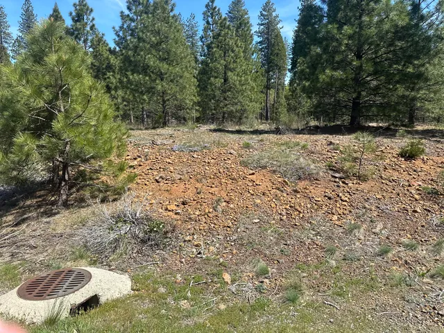 $69,500 | Lot 1 Mount Lassen Woods Drive, Shingletown, CA 96088