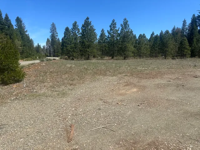 $69,500 | Lot 1 Mount Lassen Woods Drive, Shingletown, CA 96088