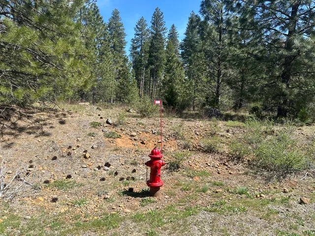 $69,500 | Lot 1 Mount Lassen Woods Drive, Shingletown, CA 96088