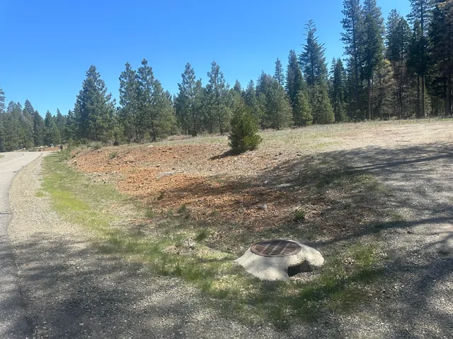 $69,500 | Lot 1 Mount Lassen Woods Drive, Shingletown, CA 96088