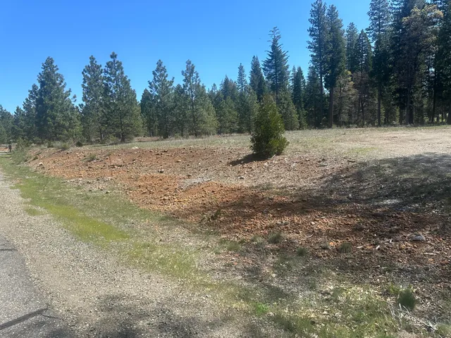 $69,500 | Lot 1 Mount Lassen Woods Drive, Shingletown, CA 96088