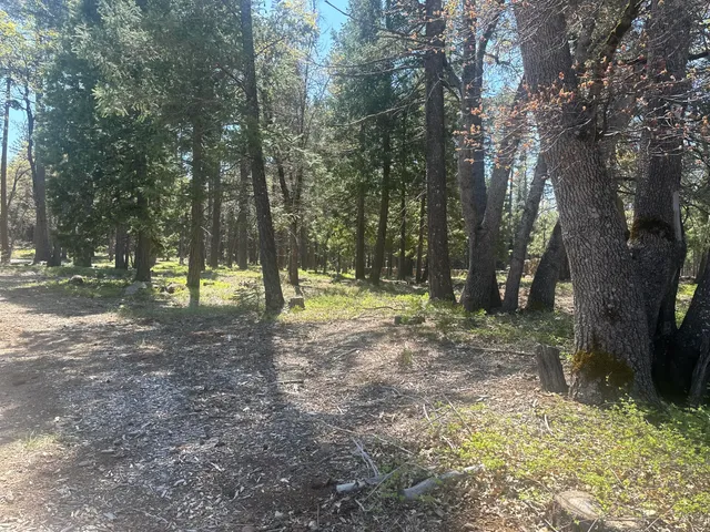 $69,500 | Lot 1 Mount Lassen Woods Drive, Shingletown, CA 96088